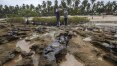 Voluntários retiram óleo de praias no Nordeste; veja vídeos