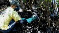 Em meio à crise do óleo, gestão Bolsonaro retira diretriz de proteção para manguezal