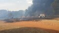 Incêndio destrói mais de 300 hectares de matas na Serra do Japi