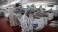 Governo brasileiro turbinou pandemia ao ignorar circulação do vírus no País, diz estudo na ‘Science'