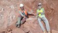 Novo fóssil de dinossauro é resgatado em obra de rodovia no interior de SP