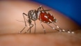 Brasil e EUA planejam vacina contra zika; OMS teme a proliferação do vírus