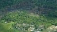 Alertas de desmatamento da Amazônia sobem 68% em um ano