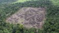 Desmatamento na Amazônia cresce 13,7% e atinge pior marca em dez anos