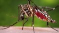 Argentina confirma primeiro caso de zika