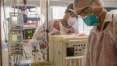 Sob risco de desabastecimento, Saúde requisita estoques de ‘kit intubação’ da indústria