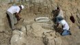 Fósseis são achados em obra residencial de Uberaba (MG)
