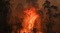 Incêndios florestais deixam ao menos 3 mortos e 30 feridos na Austrália