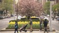 Nova York quer abrir mais parques na Park Avenue