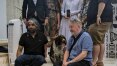 Três cães de Tilda Swinton ganham Palm Dog de Cannes