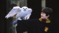 'Harry Potter e a Pedra Filosofal': há 20 anos era lançado o primeiro livro da série de J. K. Rowling