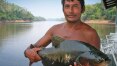 Estudo associa desmatamento e queda de produtividade da pesca na Amazônia