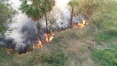 Governo do MS decreta emergência e pede ajuda por incêndios no Pantanal