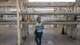 Inflação na Venezuela deve chegar a 300% em 2016, diz economista
