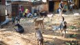 Em luta por terra, aldeias do Jaraguá convivem com sujeira e doenças