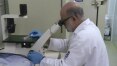 Epidemia de zika muda rotina de cientistas
