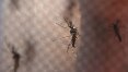 Epidemia de dengue suspende aulas em Ubirajara