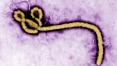 OMS promete não subestimar novo surto de Ebola na República Democrática do Congo