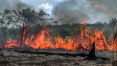 Como o fogo destrói a Amazônia, a maior floresta tropical do mundo