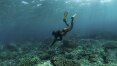 Turistas são a esperança de salvação dos recifes do Timor Leste