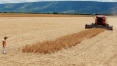 Clima derruba safra de soja no Brasil
