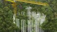 COP-26: Brasil e Reino Unido criam 'máquina do tempo' para ver reação da Amazônia à crise climática