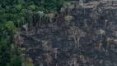 Amazônia Legal tem de janeiro a maio pior desmatamento em 15 anos, diz Imazon