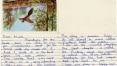 Carta escrita por John Lennon aos 11 anos vai a leilão