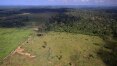 Ibama avisa antecipadamente onde fará operações contra desmatamento na Amazônia