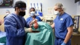 Médicos fazem primeiro transplante de coração de porco em humano