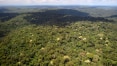 Noruega bloqueia repasse de R$ 133 mi para preservação da Amazônia