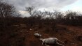 Nodeste enfrenta maior seca em 100 anos