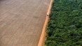 Agricultura sem Amazônia