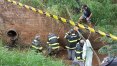 Resgate de onça-parda mobiliza bombeiros em Taquaritinga