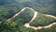 Desmatamento na Amazônia aumenta 16% em um ano
