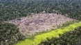 Ambientalistas protestam contra cana na Amazônia