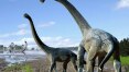 Descoberta pode mudar teorias sobre a chegada de dinossauros à Austrália