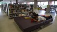 Biblioteca, um lugar para ler, escrever, ouvir, sonhar e criar