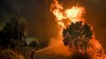 Mais de 1 mil bombeiros tentam conter 11 incêndios florestais em Portugal