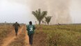 Queimadas e desmatamento deixam Manaus e sul do Amazonas em emergência