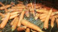 IPCA 15: Cenoura sobe 195% em 12 meses; confira itens que mais encareceram