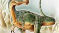 Dinossauro do Chile reúne características de lagartos pré-históricos