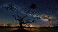 Foto de galáxia atrás de árvore é eleita a imagem do dia pela Nasa