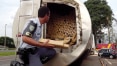 Polícia apreende caminhão com três toneladas de maconha