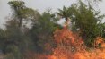 Economia libera R$ 38,5 mi ao Ministério da Defesa para contenção de queimadas na Amazônia