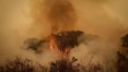 Ministro Ricardo Salles, parlamentares e governador do MS sobrevoam áreas de queimadas no Pantanal