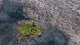 Amazônia tem recorde de alertas de desmatamento para o mês de junho