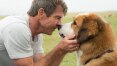 Apesar de polêmica, 'Quatro Vidas de um Cachorro' arrecada US$ 18 mi na estreia nos EUA