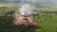 Maior financiadora de fundo da Amazônia, Noruega alerta para corte de apoio