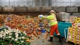 Pesquisa da Embrapa mostra que desperdício de alimentos chega a R$ 1 mil por família ao ano